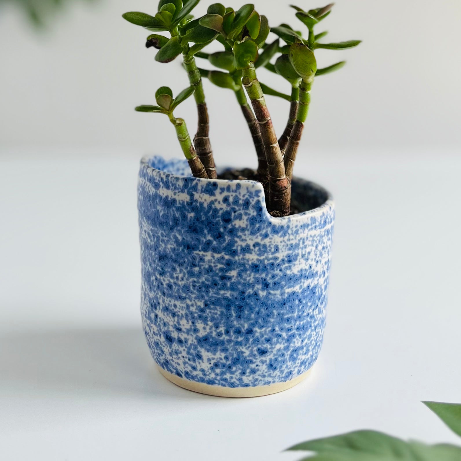 Planter in Blue Speckle