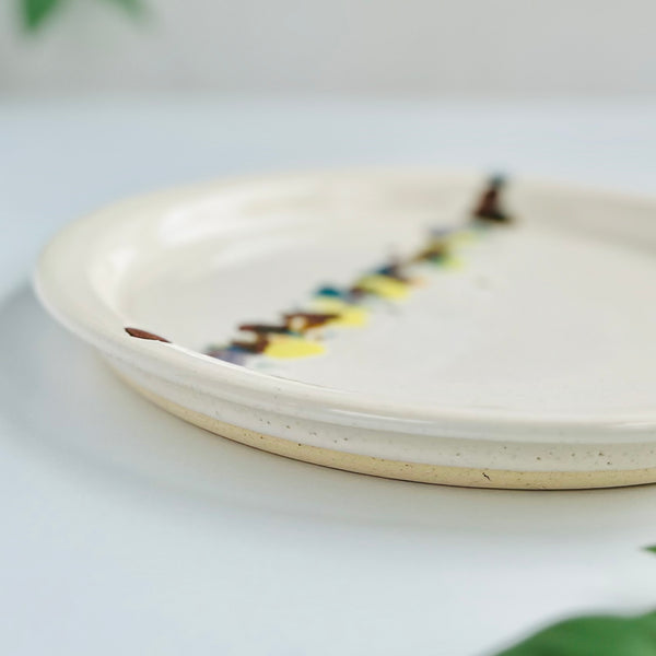 Confetti Plate in Snow