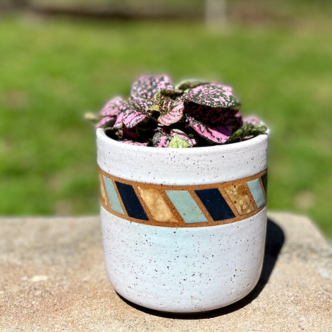Color Block Planter in Toasted White