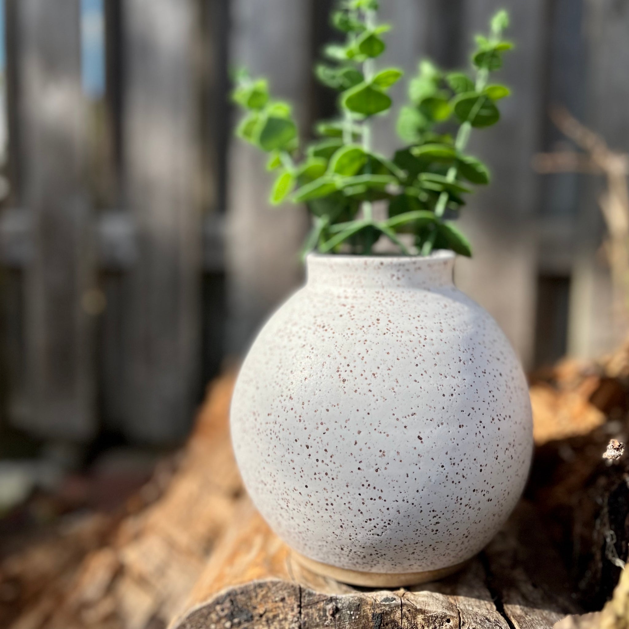 Moon Vase in Toasted White