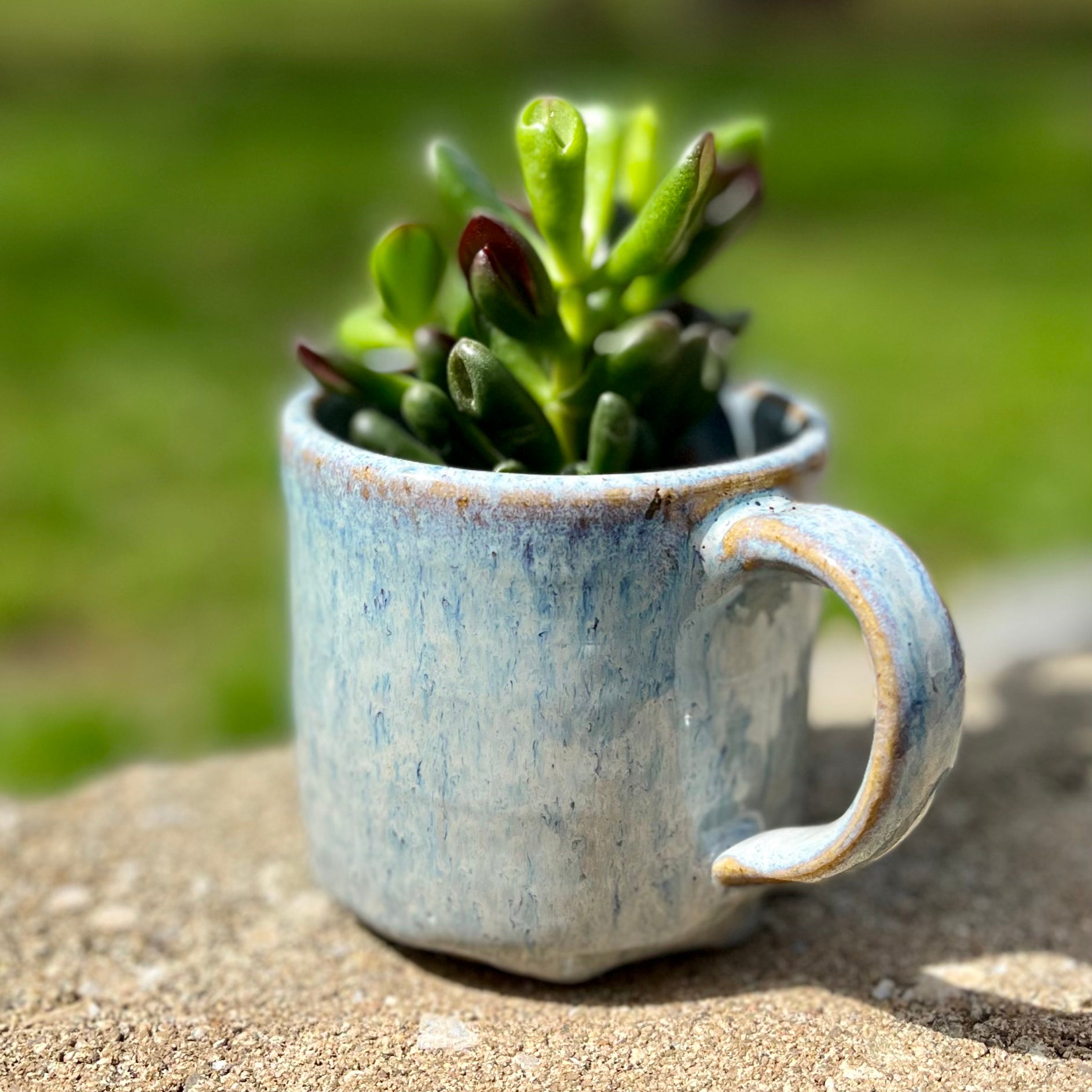 Mug Planter in Chambray