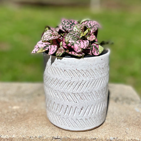 Hand Carved Planter in Speckled White