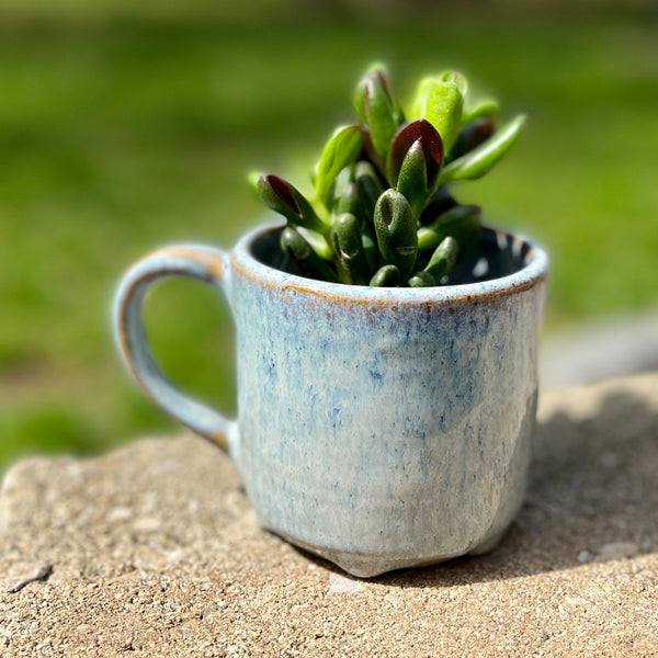 Mug Planter in Chambray