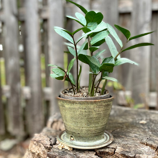 Planter in Iron Lustre #03